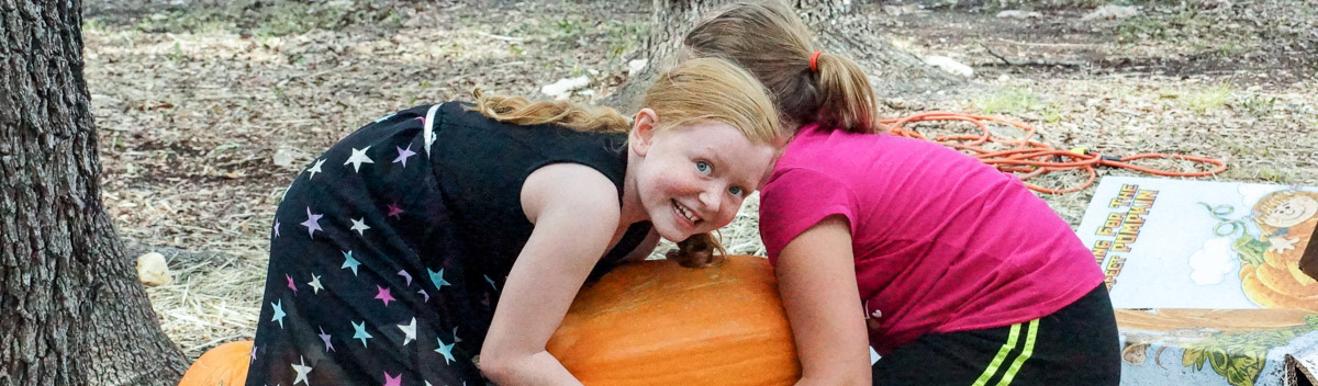 That's a BIG Pumpkin