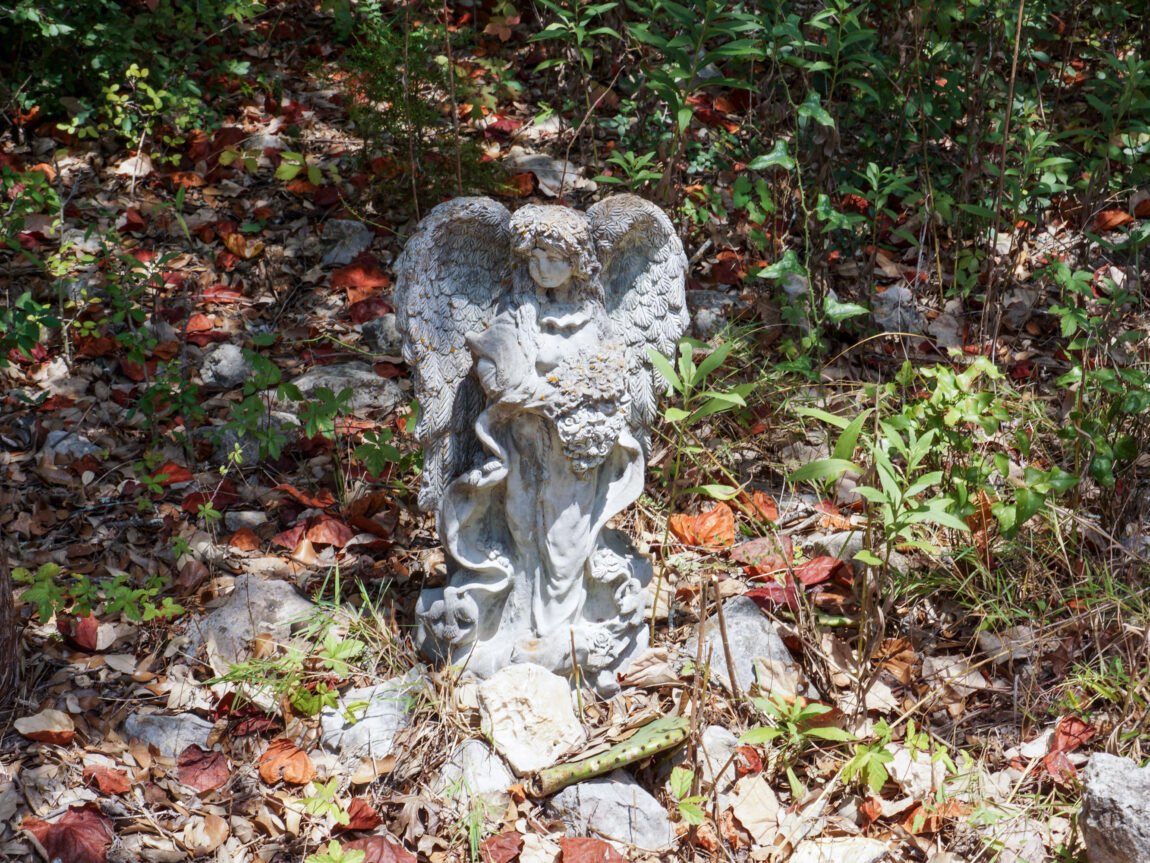 DSC07999-web70-1150x863