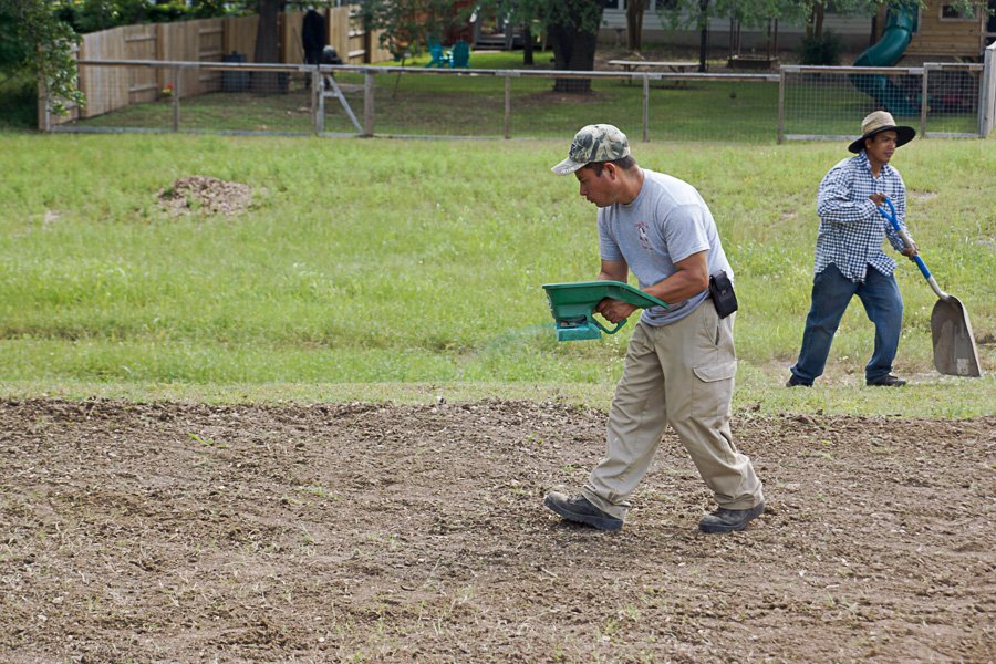 DSC07242-900x600-80-1.jpg